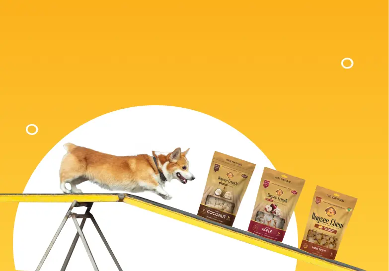 crunchy dog treats - banner image