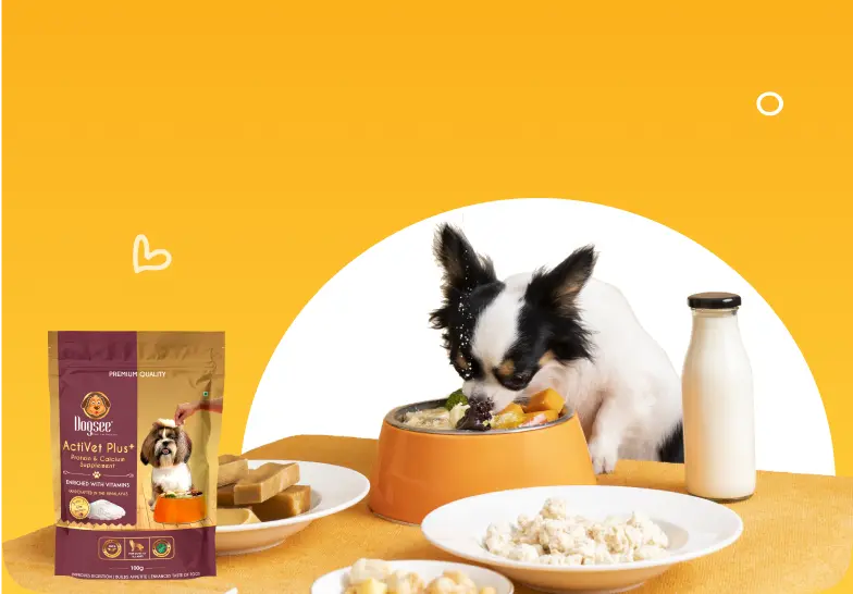 dog supplements - banner image