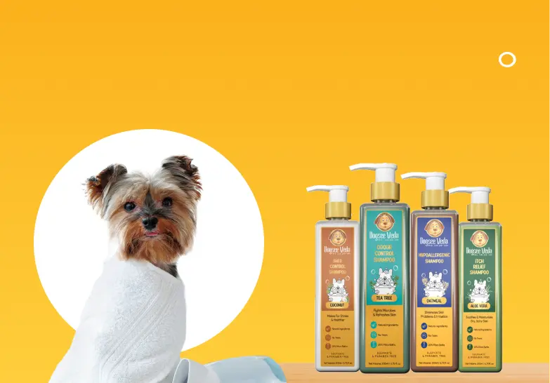 dog shampoos - banner image