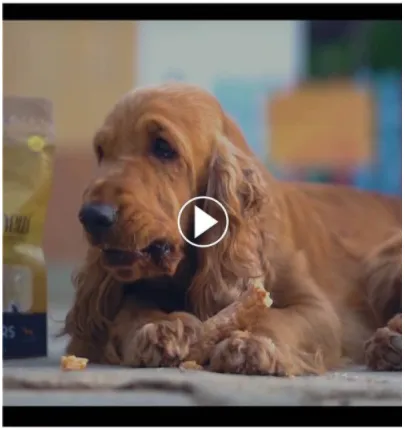 Dog Eating Training Treats