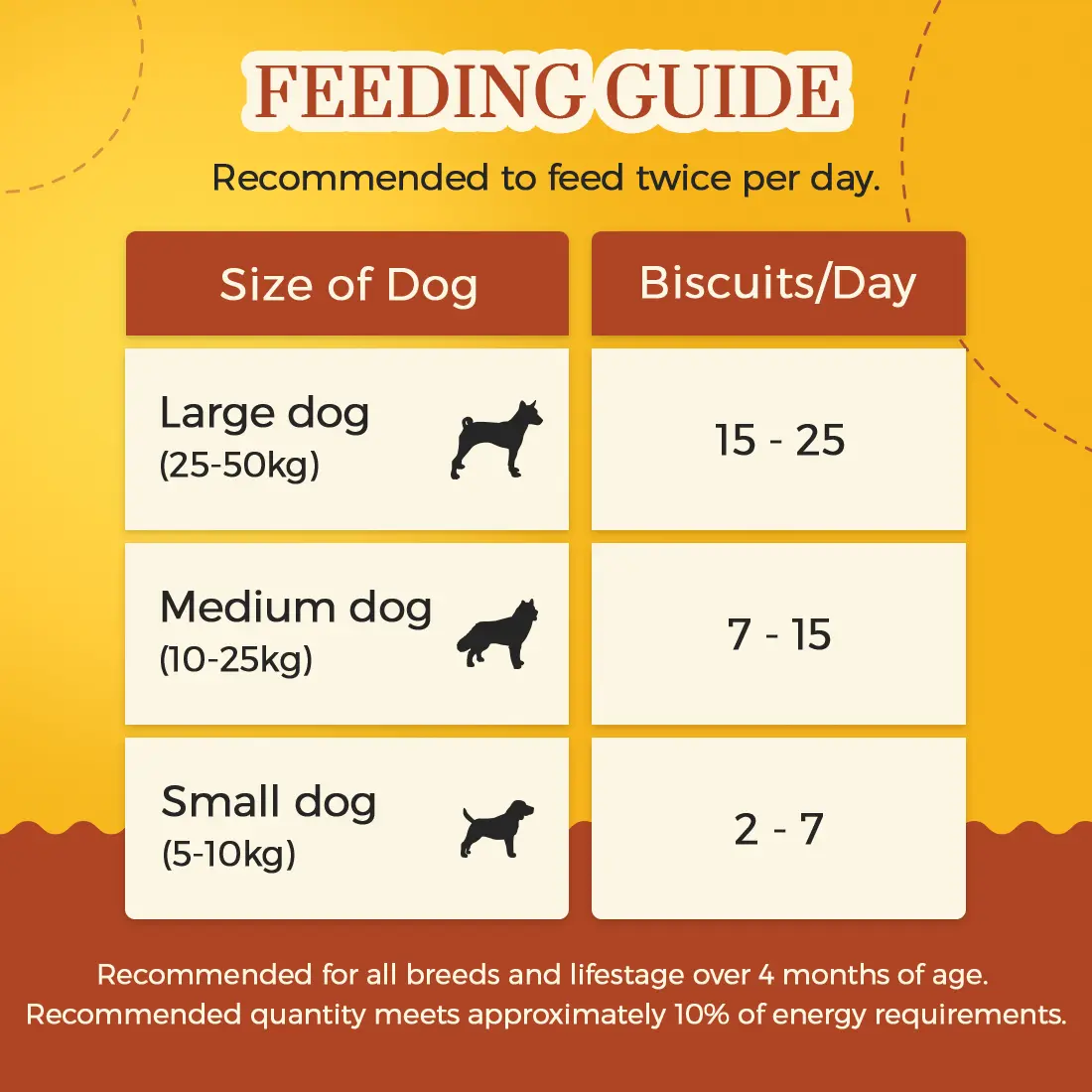 Feeding Guide - Pumpkin and Cinnamon Cookies for Dogs
