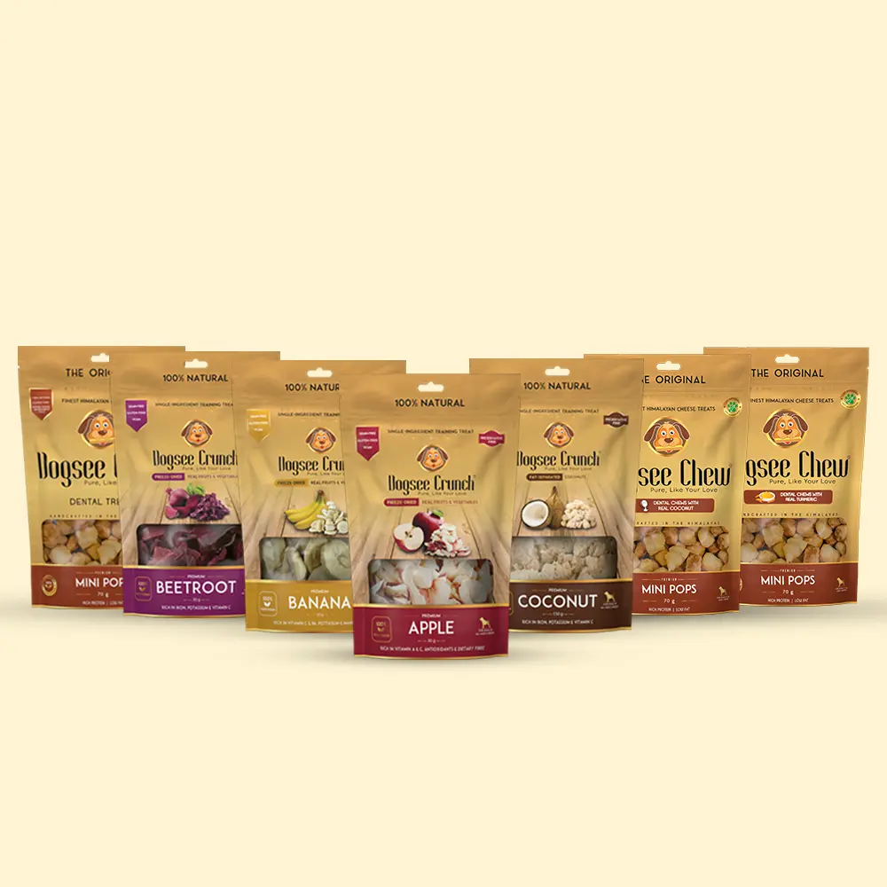 page loading GIF - Dogsee