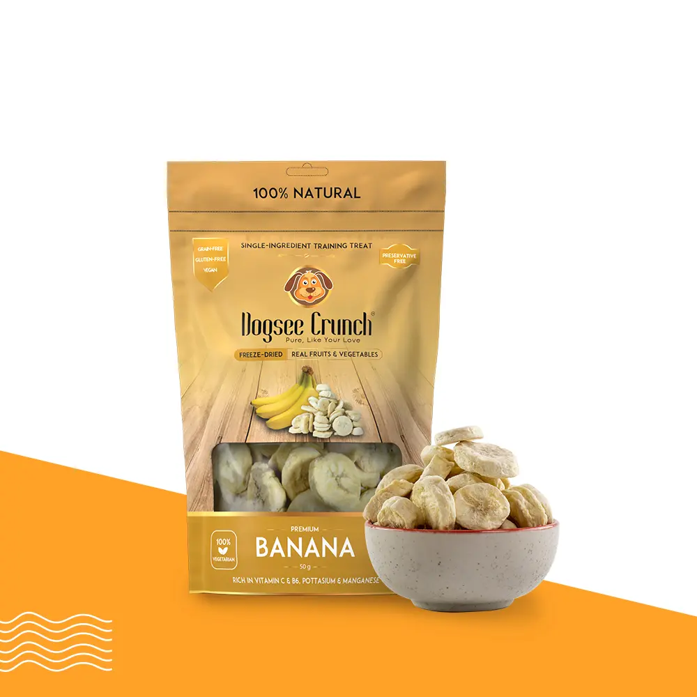 Dogsee Crunch Banana: Freeze-Dried Banana Dog Treats