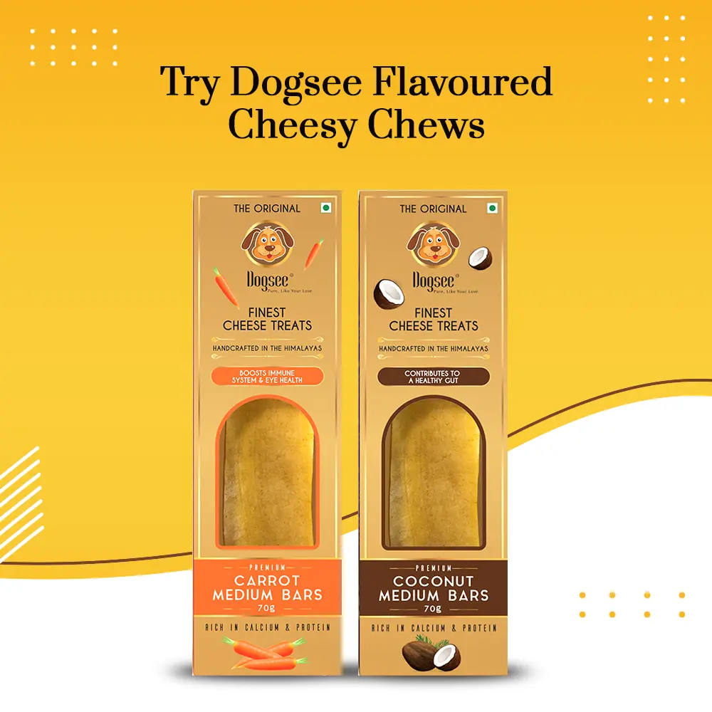 Packs of Flavoured Dogsee Singles Dental Chews