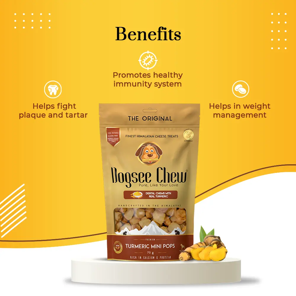 Benefits - Turmeric Mini Bite Sized Dog Training Treats