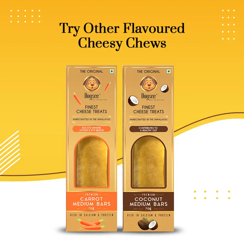 Flavoured Cheesy Dental Chew