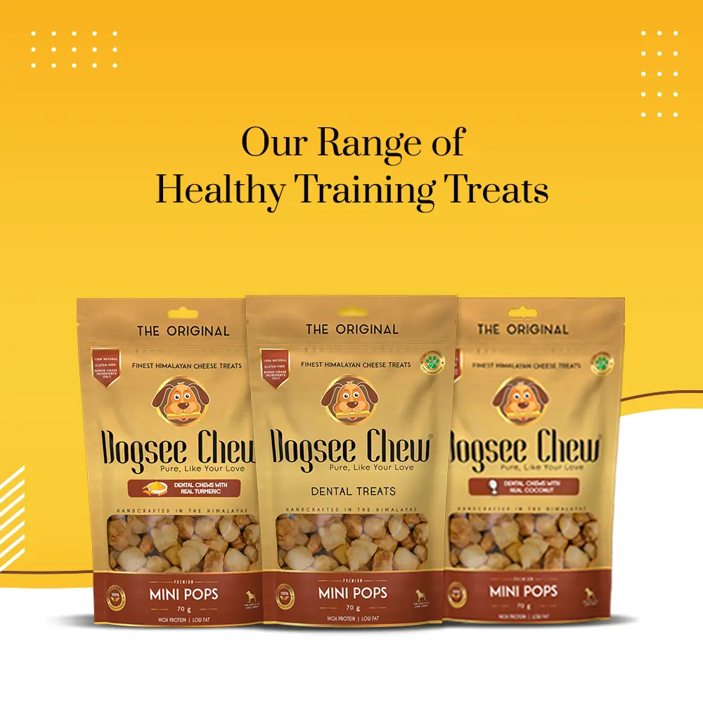 Packs of Healthy Training Treats