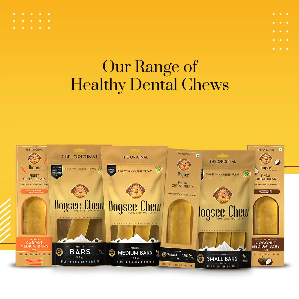 Packs of  Long Lasting Dog Chews