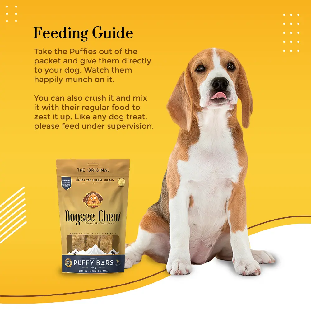 Feeding Guide - Soft Dental Treats For Senior Dogs