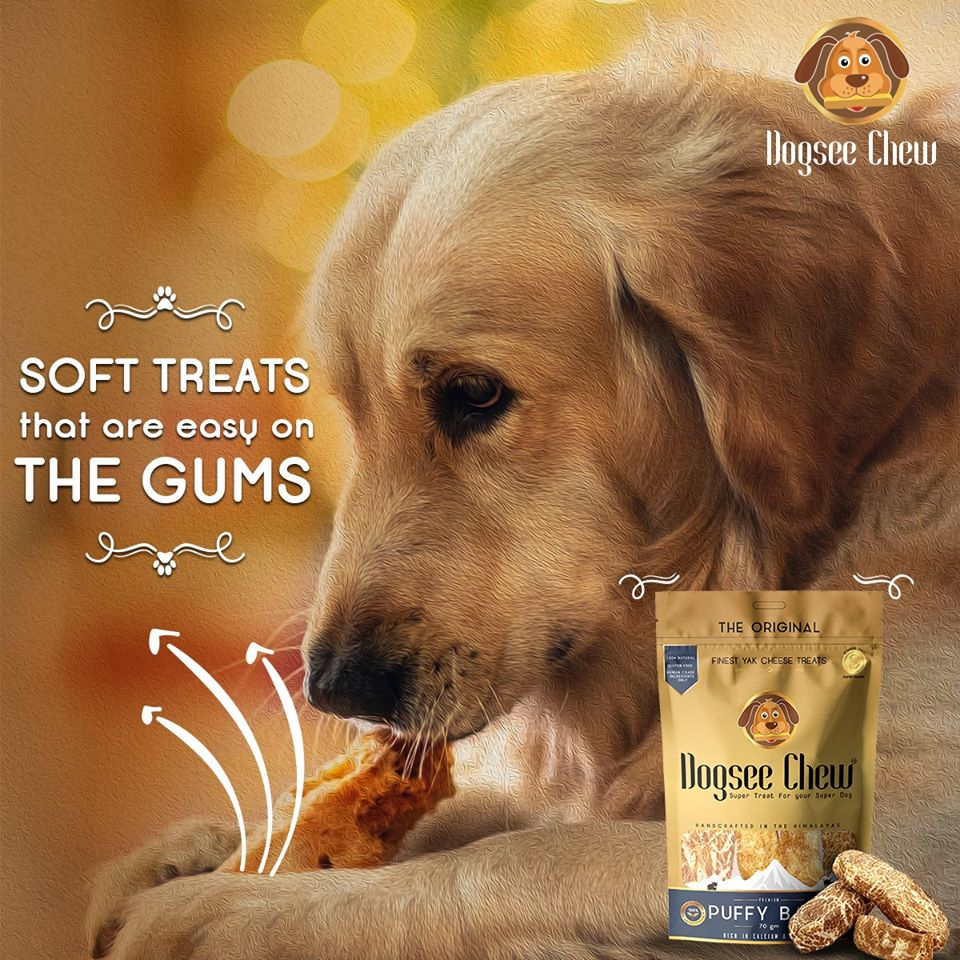 soft dog treats