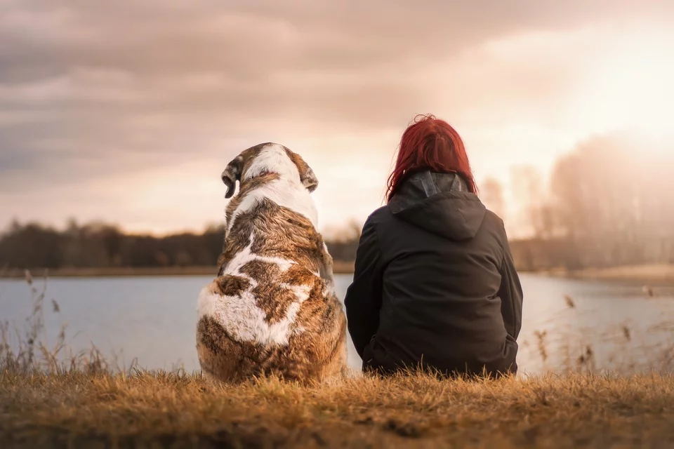 dog sitting with girl on river side