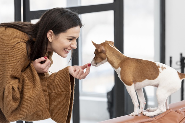 dog with cute girl