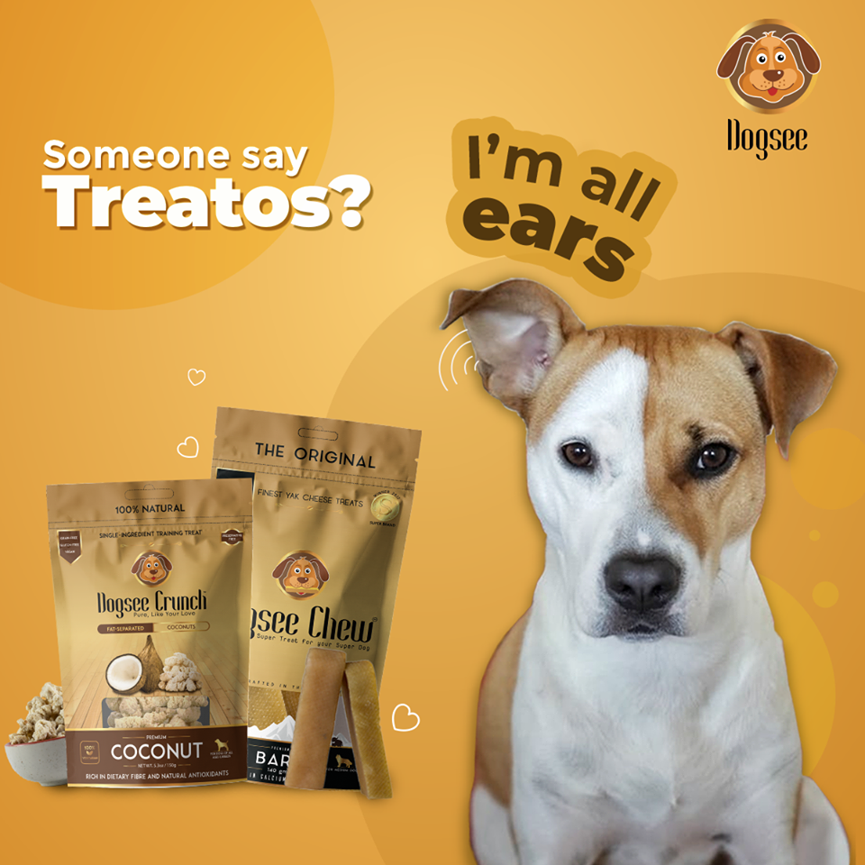 dog treat guide