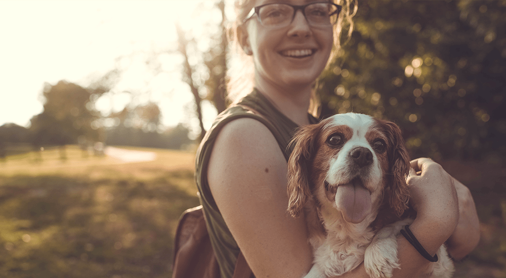 Ticks On Dog