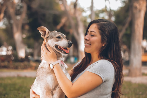 senior dog with girl