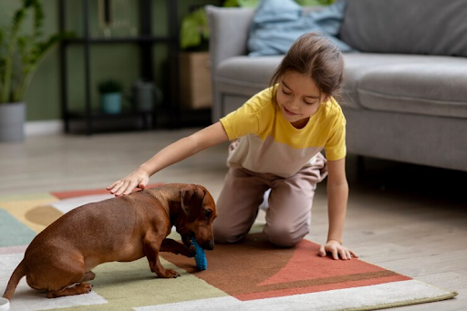 girl and dog playing inside room