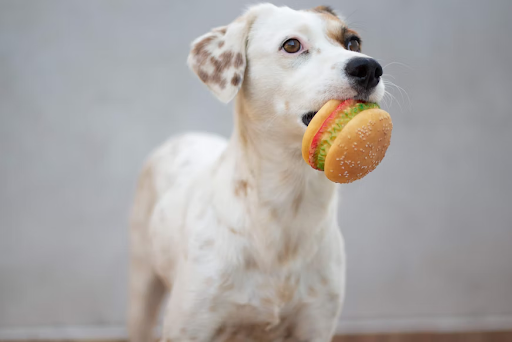 Processed Dog Treats