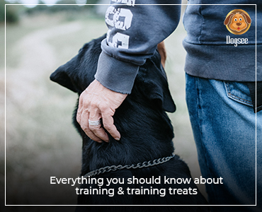 All About Dog Training & Training Treats