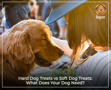 Hard Dog Treats vs Soft Dog Treats