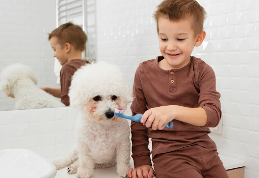 Dog Dental Hygiene