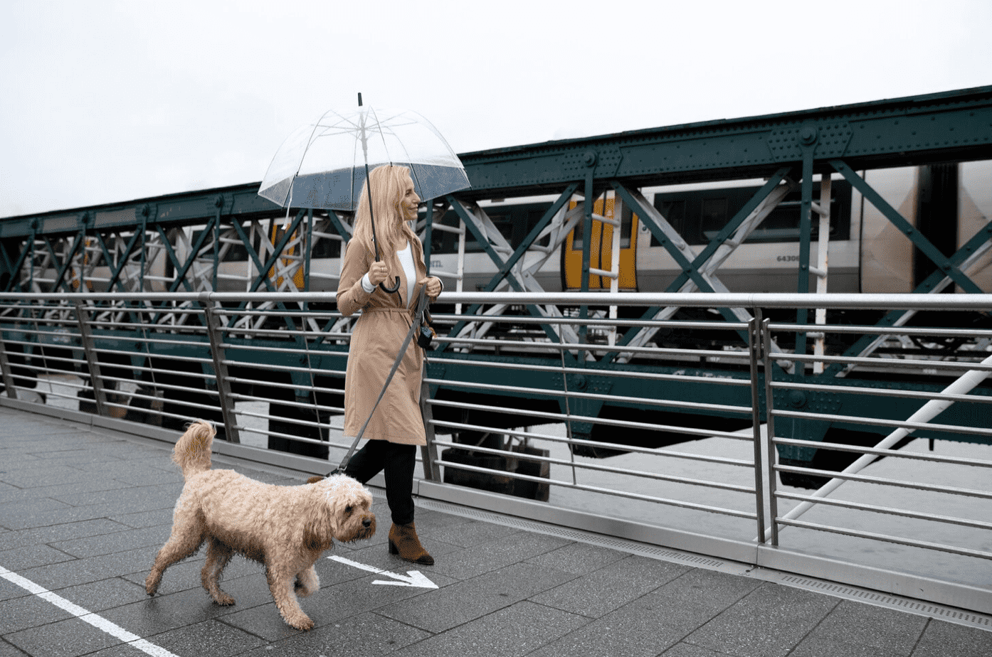 Walking Dogs in Rain