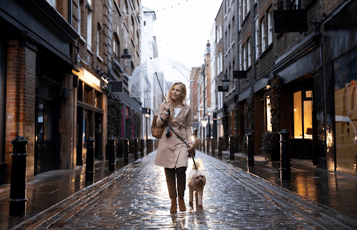 Dogs Walking in Rain