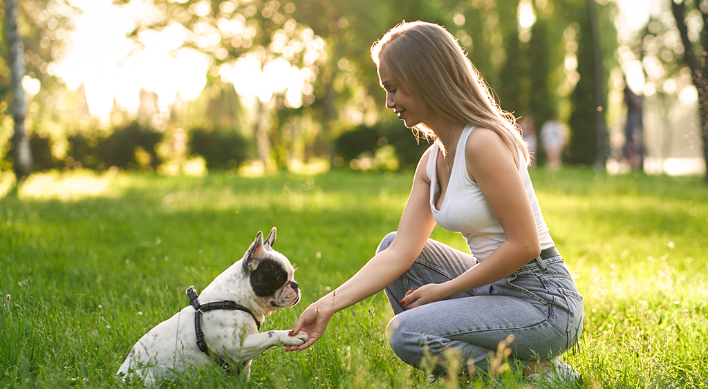 What's the Right Age to Start Puppy Training