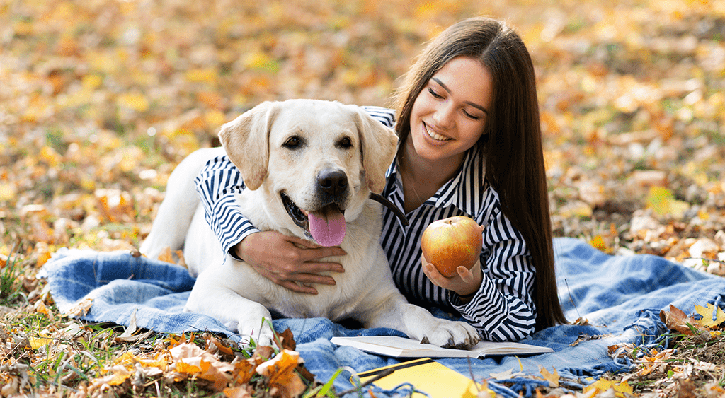 Buy Freeze Dried Crunch Apple Dog Treats from Dogsee Chew