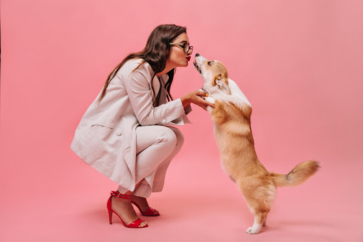 Dog Playing with Girl