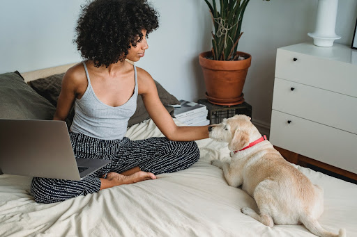 Dog on bed with girl using laptop