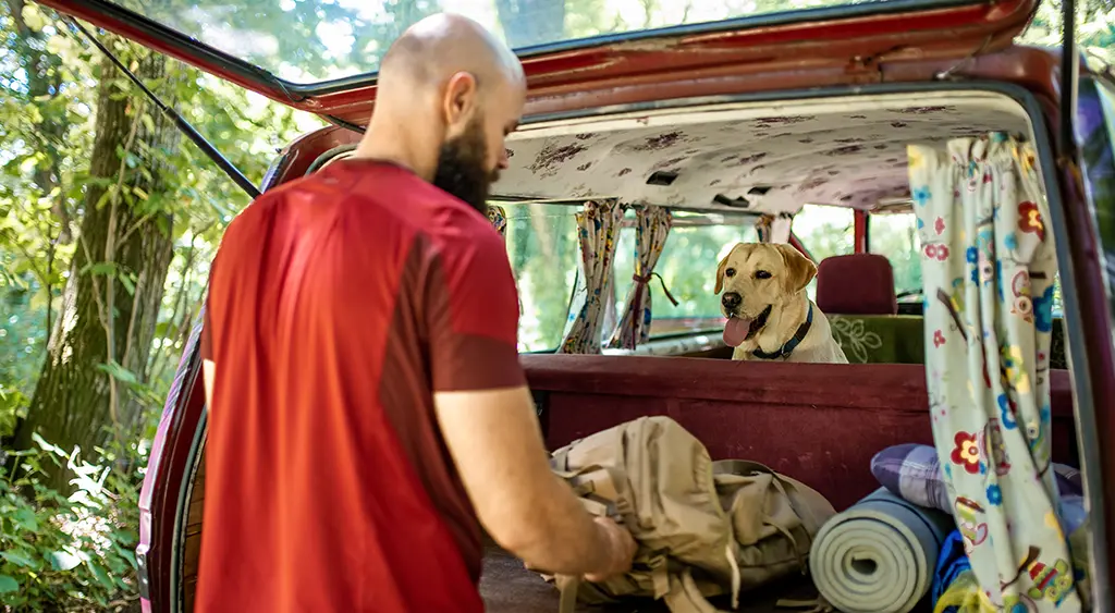 Camping with an Anxious Dog