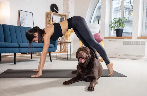 dog and girl with yoga pose