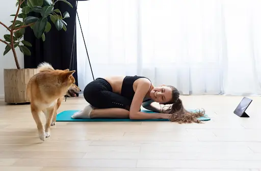 yoga for dogs