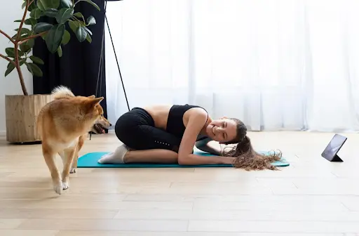 dog yoga