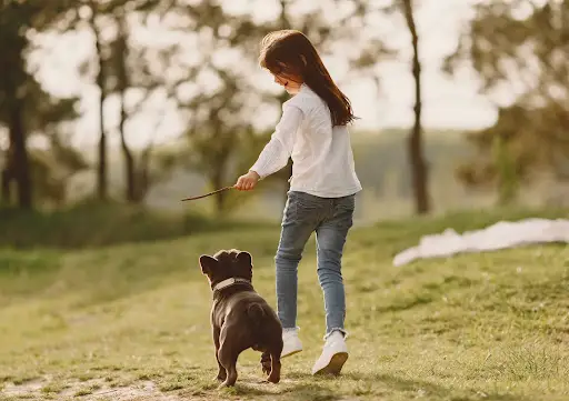 dog playing with girl