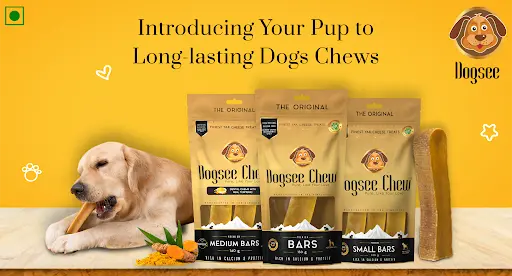 Long-lasting Dogs Chews