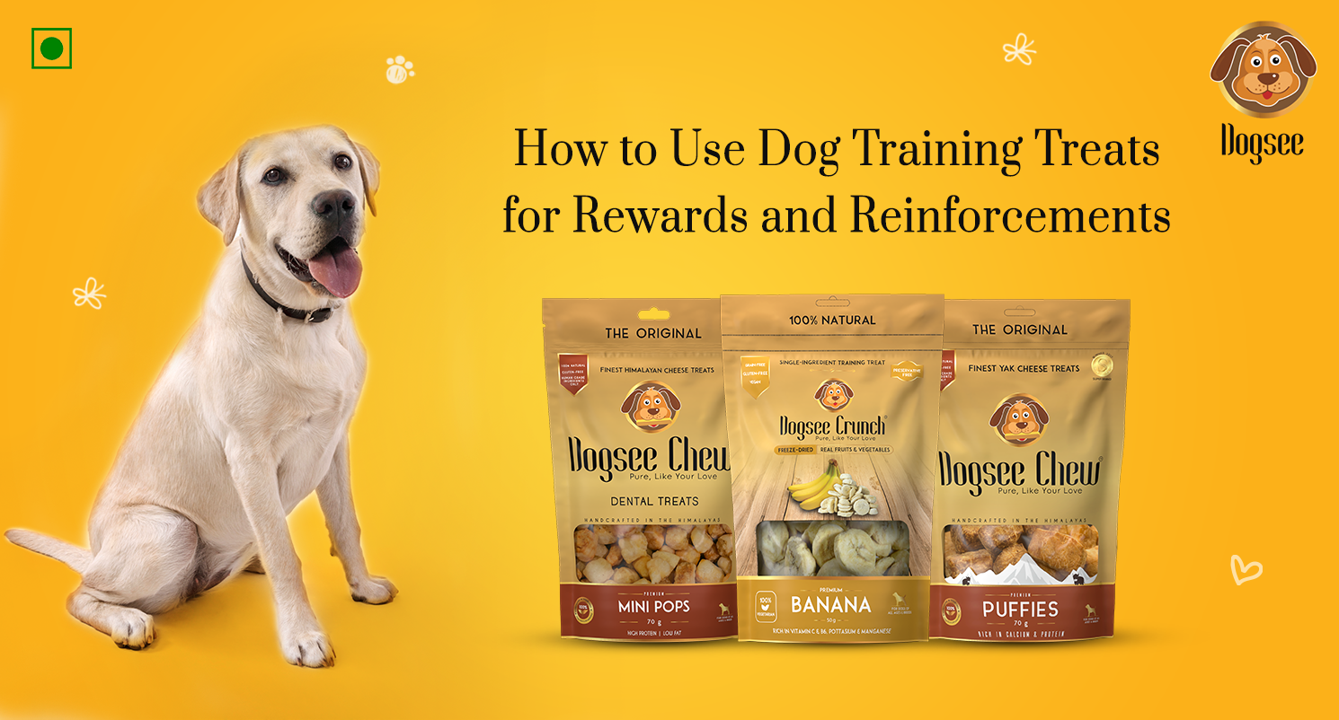 How to Use Dog Training Treats for Rewards and Reinforcements