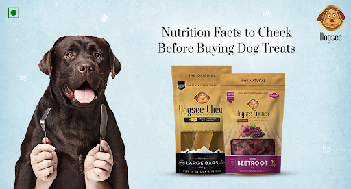 Nutrition Facts to Check Before Buying Dog Treats