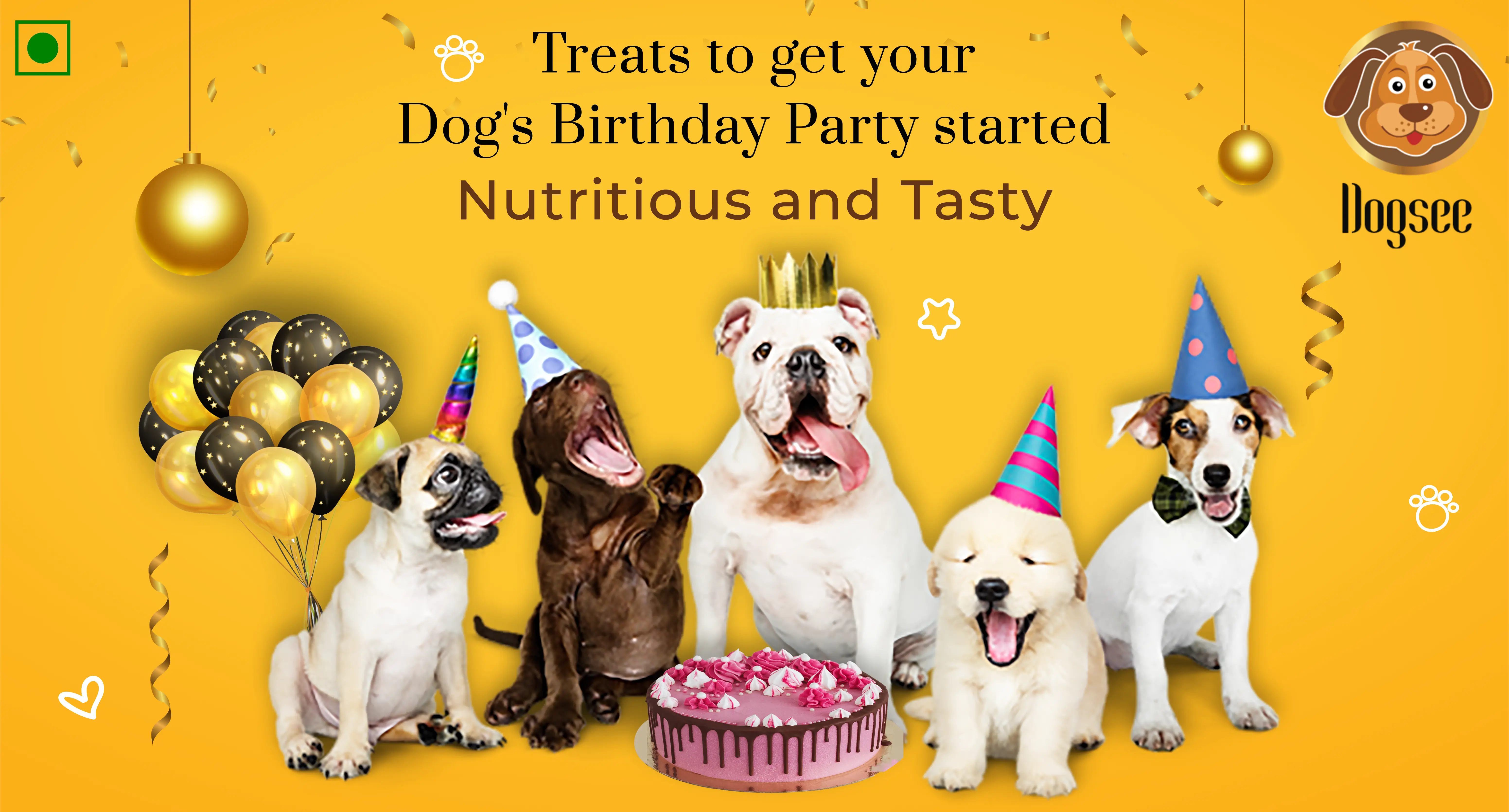 Treats to get your Dog's Birthday Party started