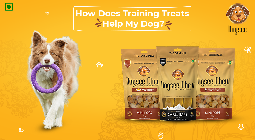 Training Treats Help My Dog