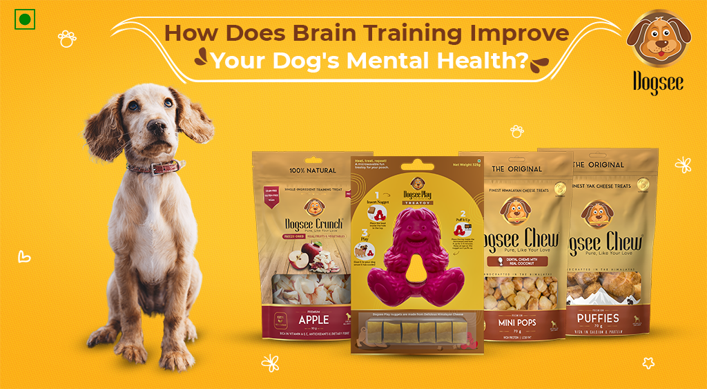 Dog Brain Training for Mental Health - Dogsee Blog