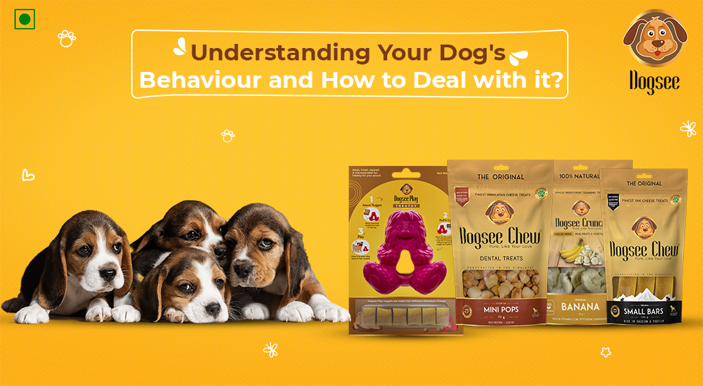 Understanding Your Dog's Behaviour