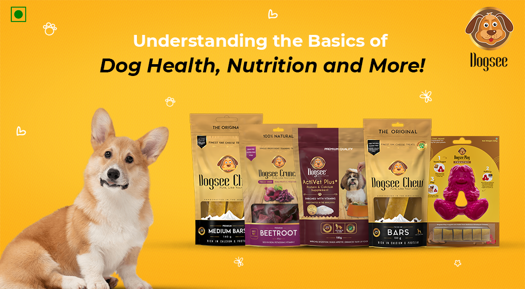 Understanding the Basics of Dog Health, Nutrition and More!