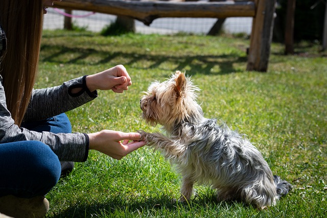 Girl with dog