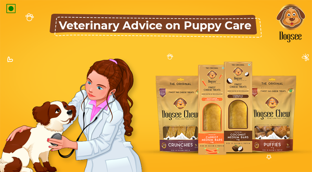 Veterinary Advice on Puppy Care