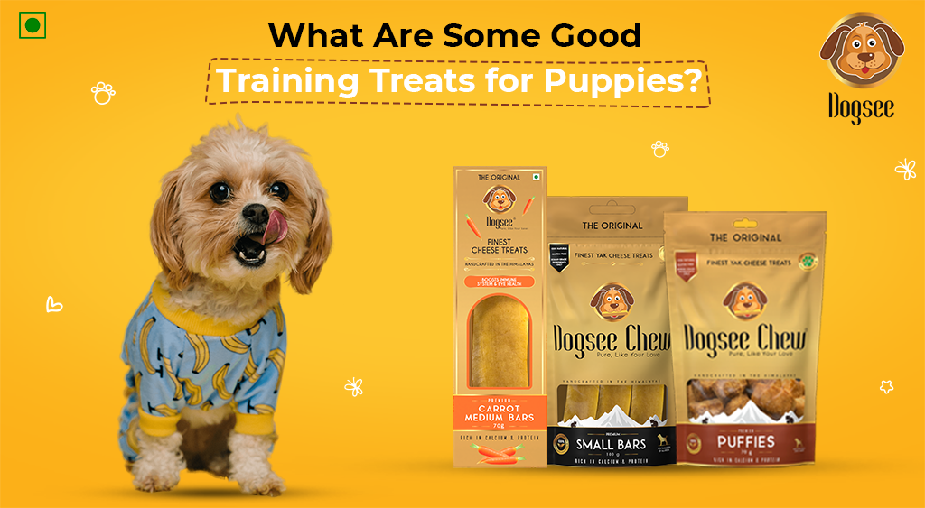 What Are Some Good Training Treats for Puppies?