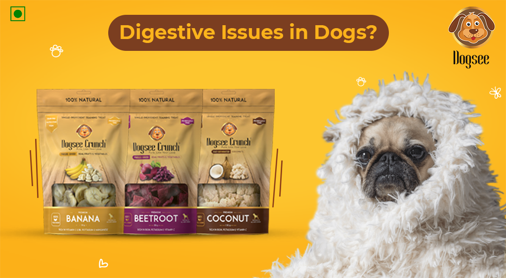 Digestive Issues in Dogs