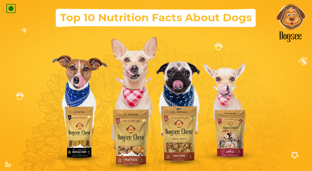Top 10 Nutritional Facts About Dogs - Dogsee Blog