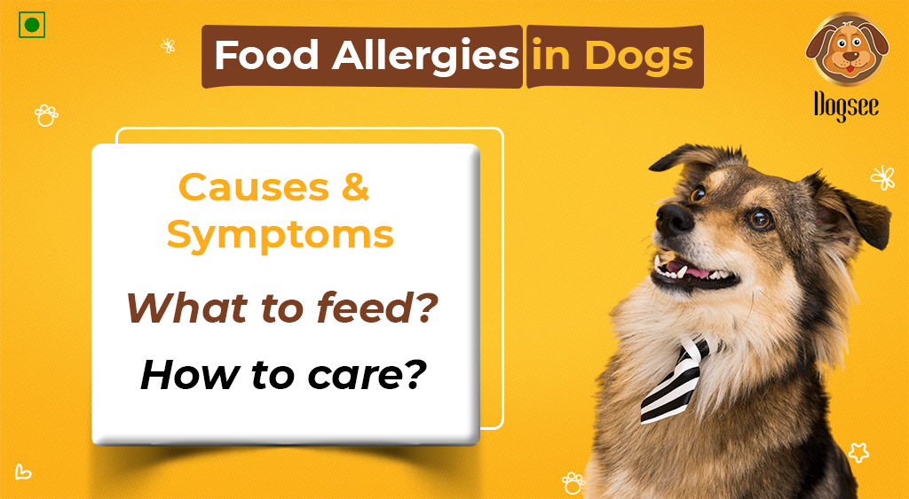 what are symptoms of dog allergies