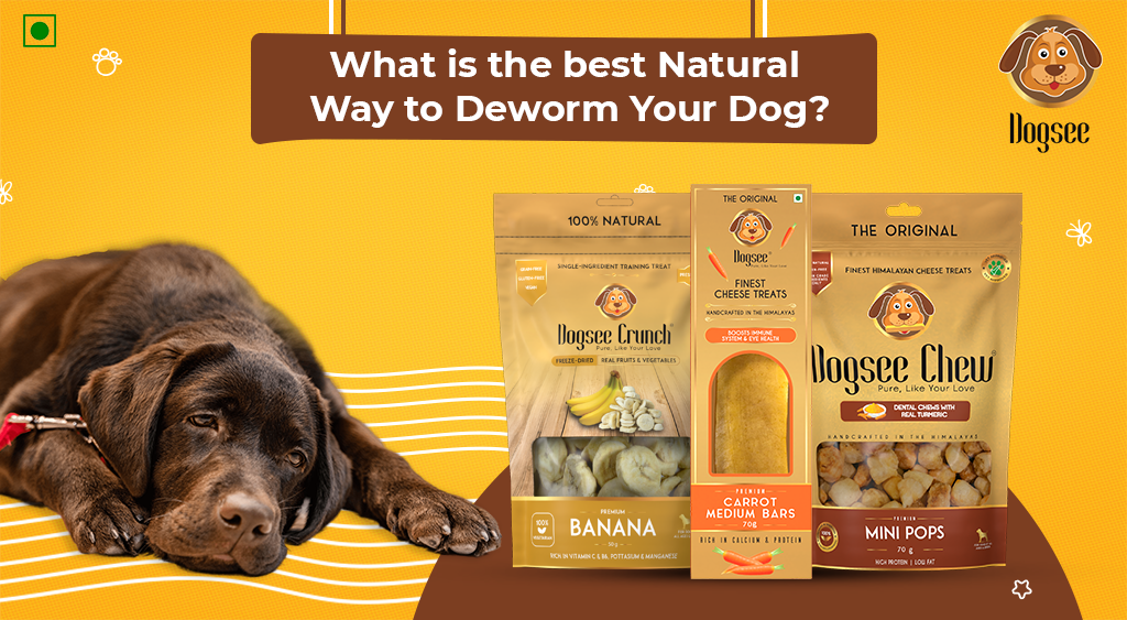 Natural Way to Deworm Your Dog
